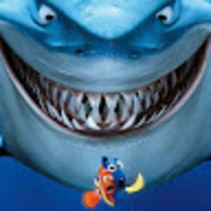 Meet your Posher, Sean